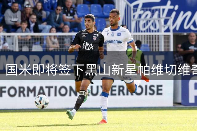 国米即将签下黑山新星帕维切维奇